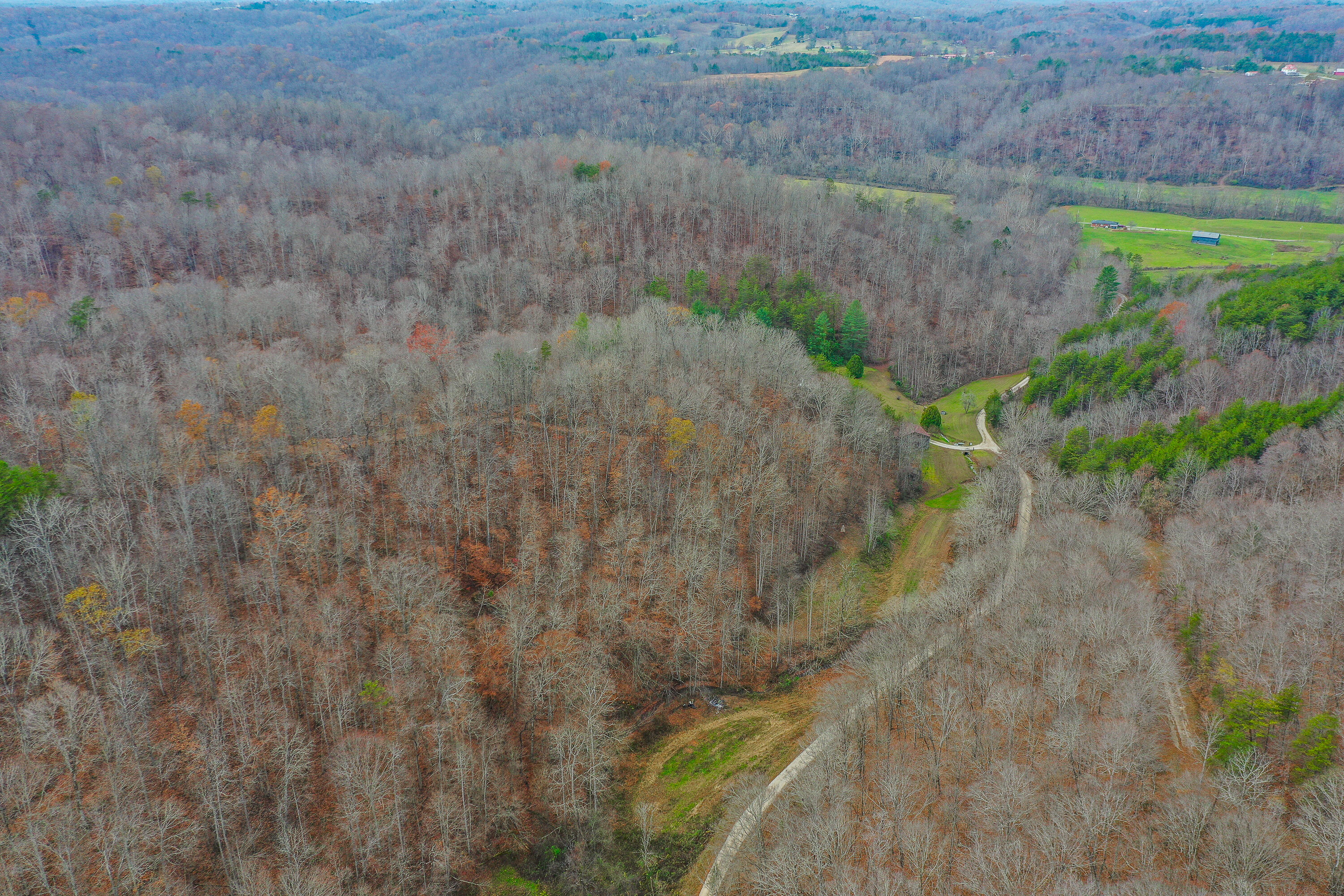 336 Big Branch Road Beattyville, KY 41311 - Photo 56 of 66 2-19