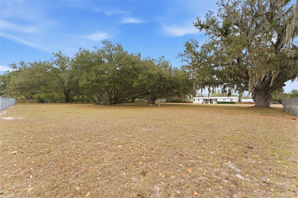 11040 Browning Road Lithia, FL 33547 - Photo 51 of 69 Gallery Image 51