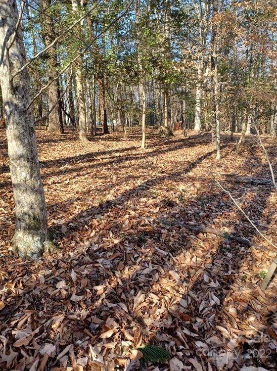 0 Sugar Loaf Road, Unit 18 19 Troy, NC 27371 - Photo 13 of 23 Gallery Image 13