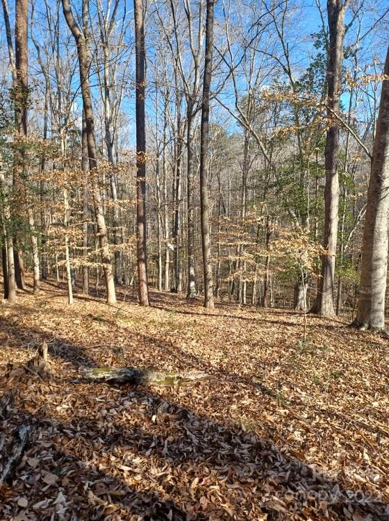 0 Sugar Loaf Road, Unit 18 19 Troy, NC 27371 - Photo 15 of 23 Gallery Image 15