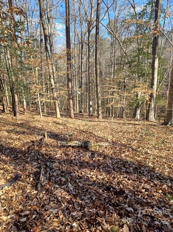 0 Sugar Loaf Road, Unit 18 19 Troy, NC 27371 - Photo 16 of 23 Gallery Image 16