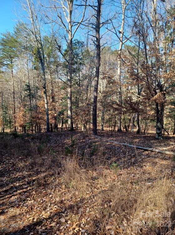 0 Sugar Loaf Road, Unit 18 19 Troy, NC 27371 - Photo 2 of 23 Gallery Image 2