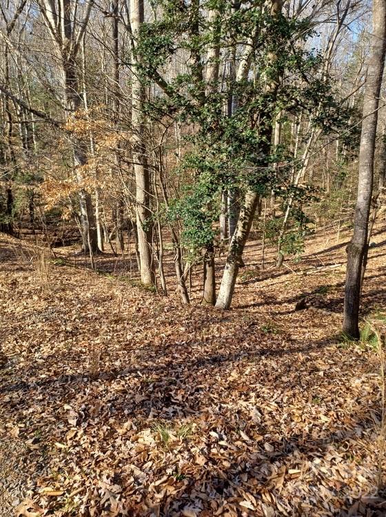 0 Sugar Loaf Road, Unit 18 19 Troy, NC 27371 - Photo 3 of 23 Gallery Image 3