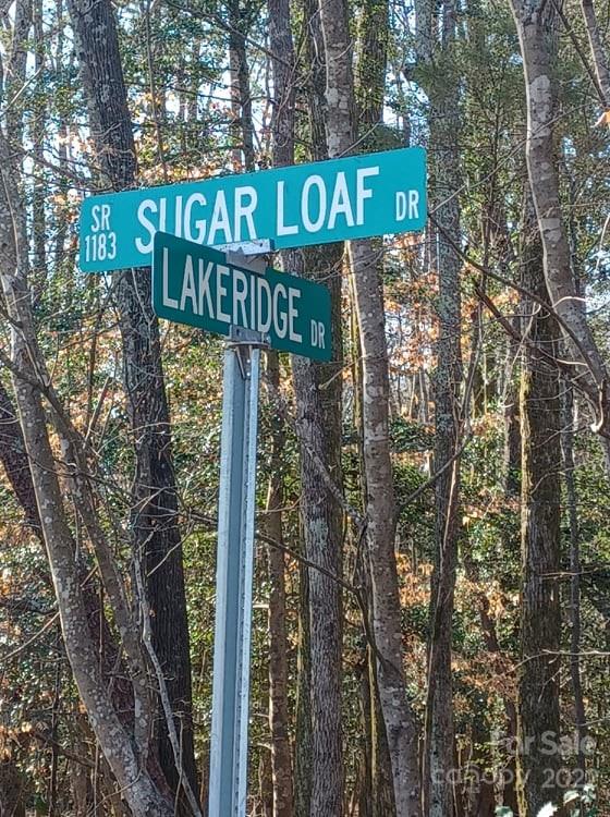 0 Sugar Loaf Road, Unit 18 19 Troy, NC 27371 - Photo 4 of 23 Gallery Image 4