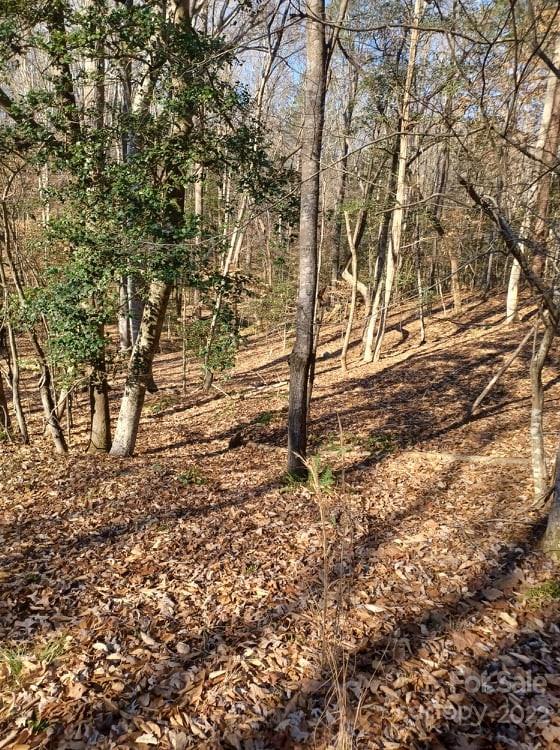 0 Sugar Loaf Road, Unit 18 19 Troy, NC 27371 - Photo 7 of 23 Gallery Image 7