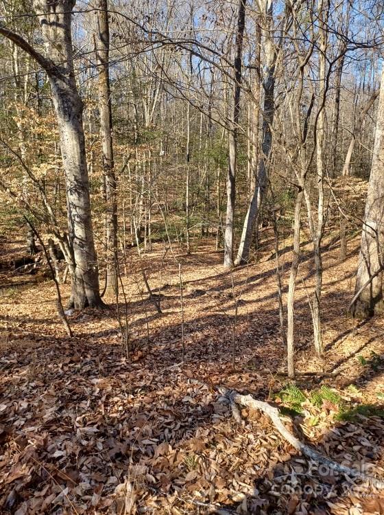 0 Sugar Loaf Road, Unit 18 19 Troy, NC 27371 - Photo 8 of 23 Gallery Image 8