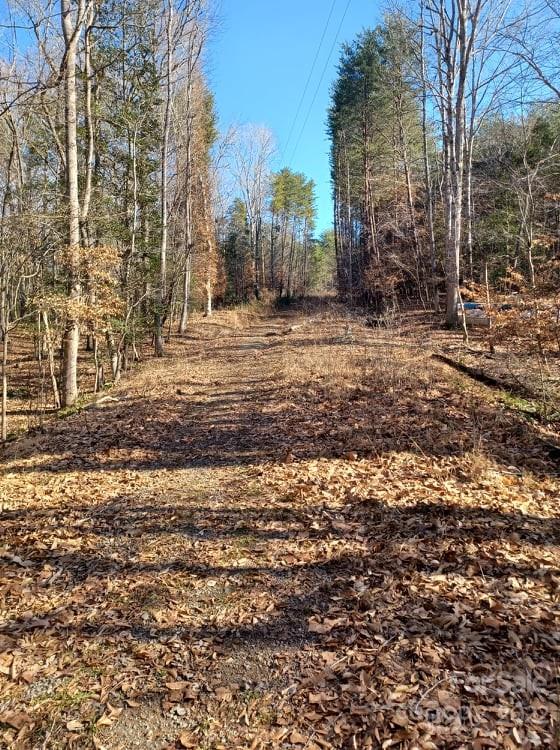 0 Sugar Loaf Road, Unit 18 19 Troy, NC 27371 - Photo 10 of 23 Gallery Image 10