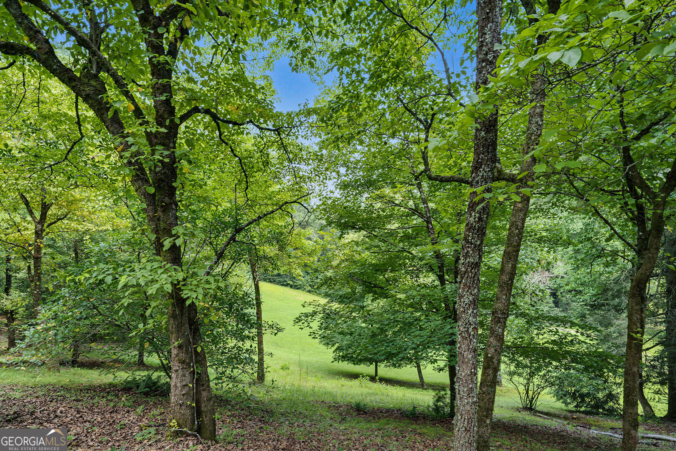 4616 Crow Creek Road Lakemont, GA 30552 - Photo 143 of 170 Gallery Image 143