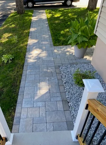 a view of a yard with plants