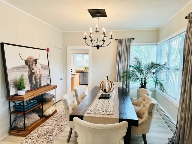 a view of a dining room with furniture a potted plant and a rug