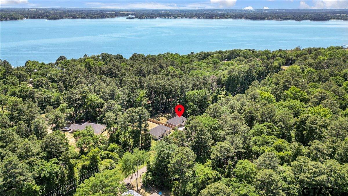 234 Sabinal Street Bullard, TX 75757 - Photo 28 of 30 a backyard of a house with a lake view