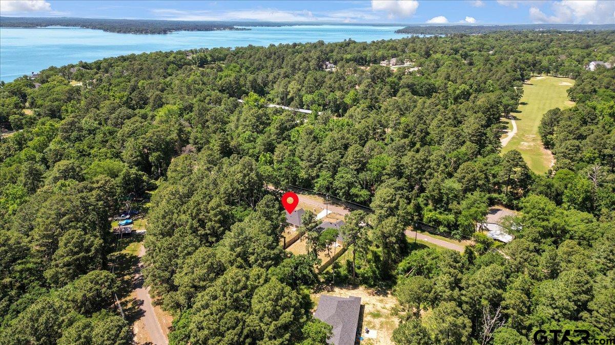 234 Sabinal Street Bullard, TX 75757 - Photo 30 of 30 a view of a houses with a yard and lake view