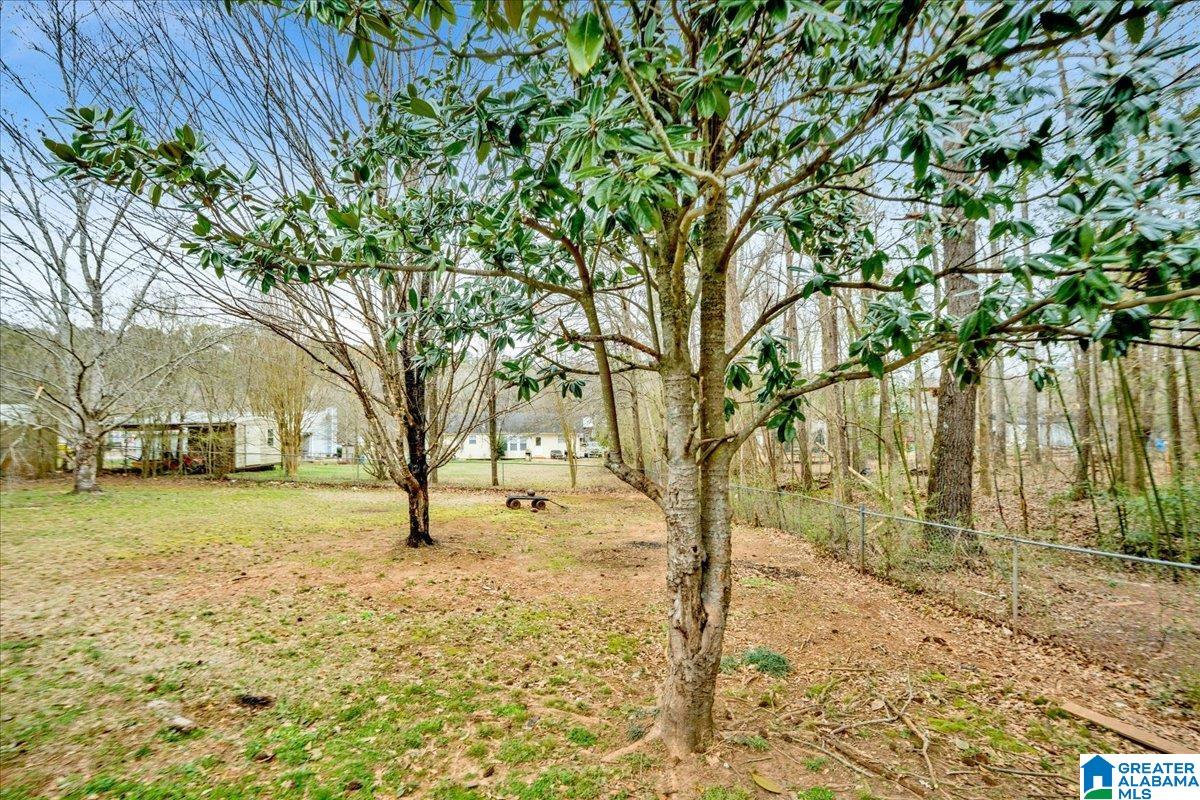375 Brian Trail Springville, AL 35146 - Photo 5 of 32