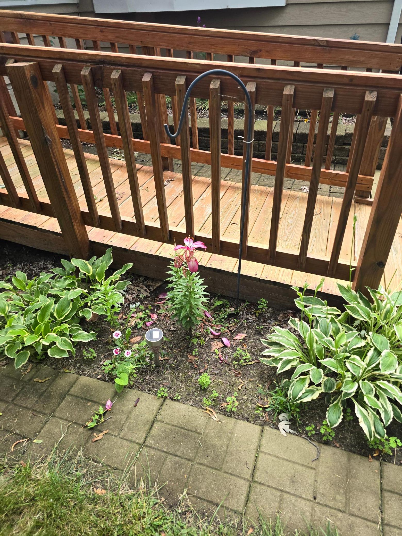 8214 32nd Place North Crystal, MN 55427 - Photo 27 of 45