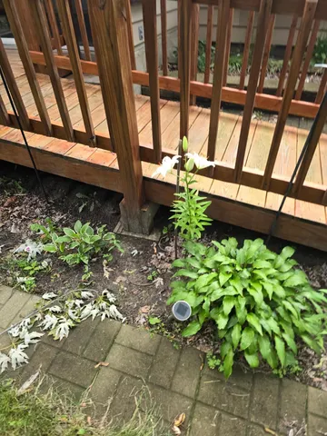 $335,000 | 8214 32nd Place North, Minneapolis, MN 55427