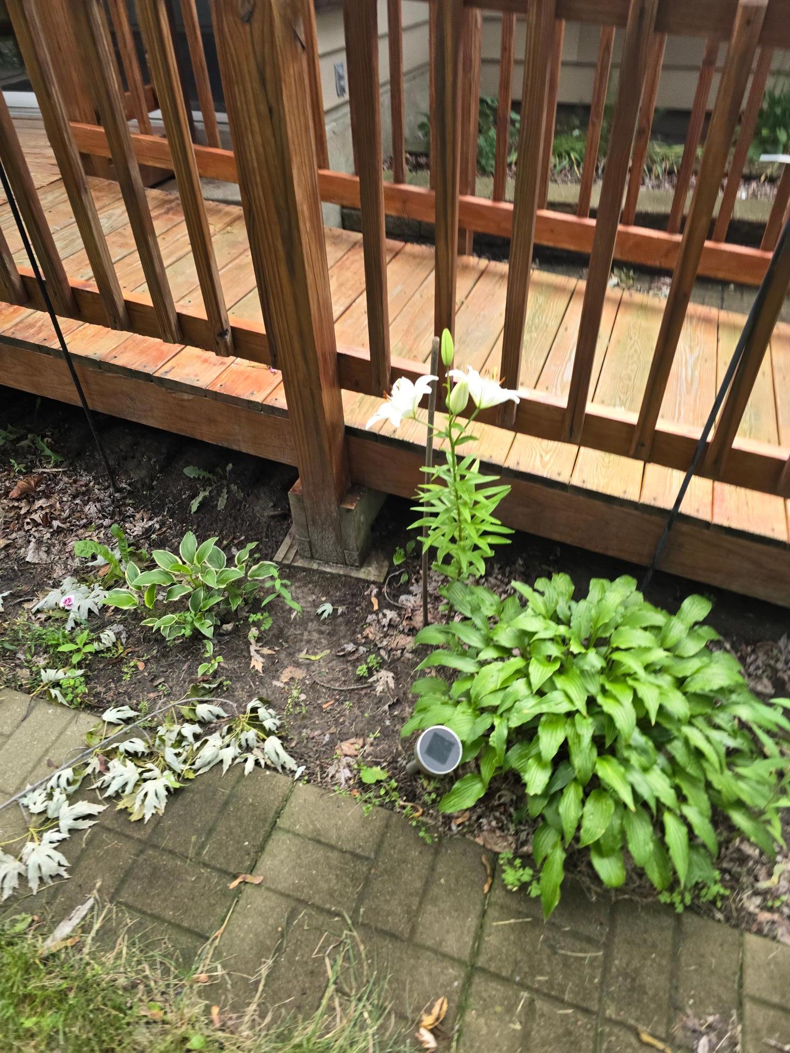 8214 32nd Place North Crystal, MN 55427 - Photo 28 of 45