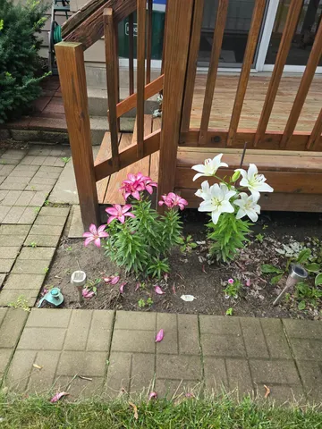 $335,000 | 8214 32nd Place North, Minneapolis, MN 55427