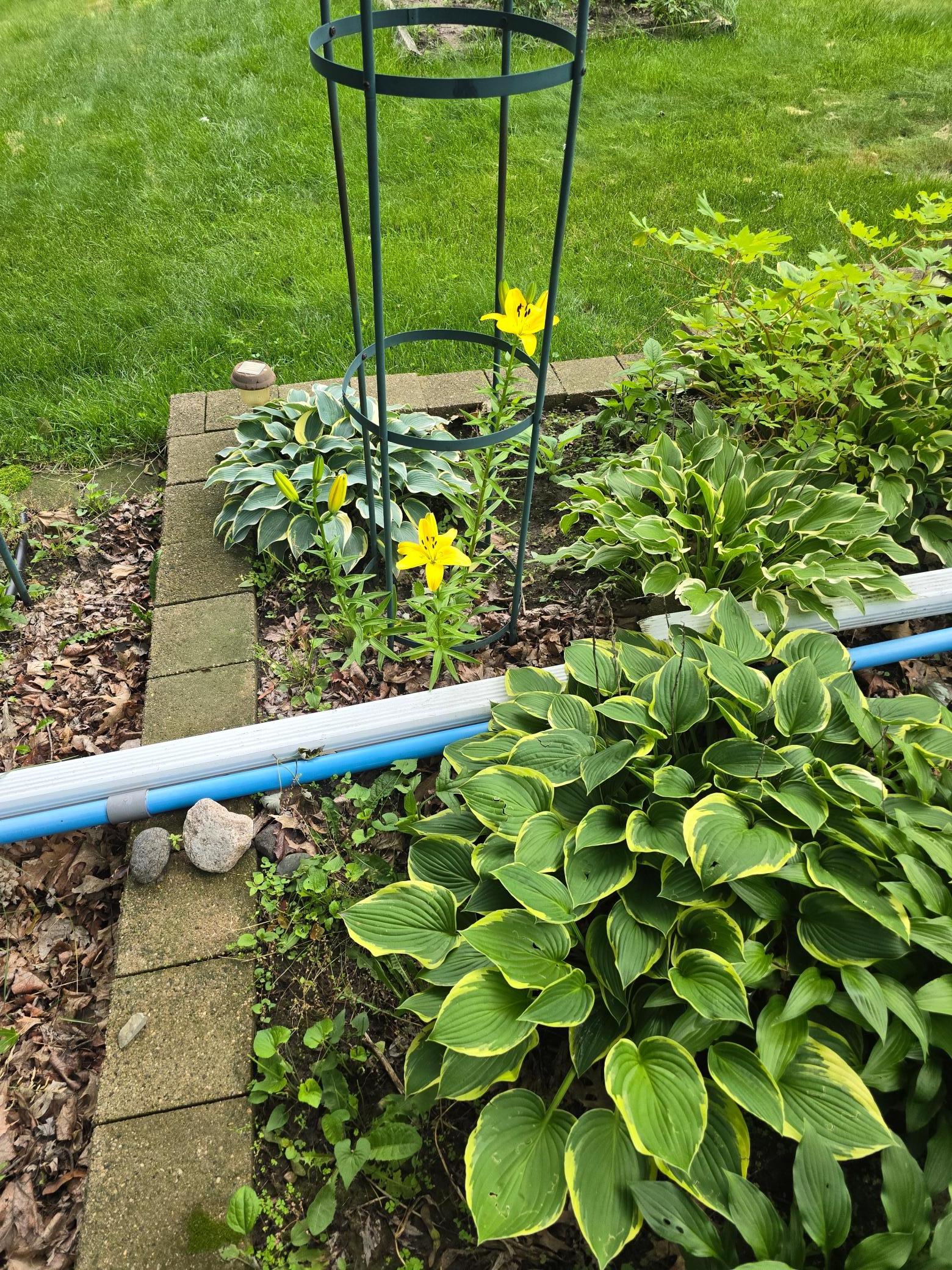 8214 32nd Place North Crystal, MN 55427 - Photo 30 of 45