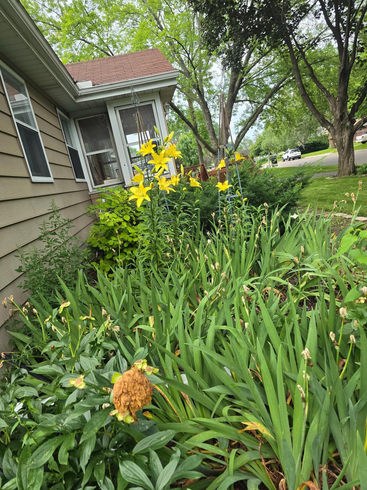 8214 32nd Place North Crystal, MN 55427 - Photo 32 of 45