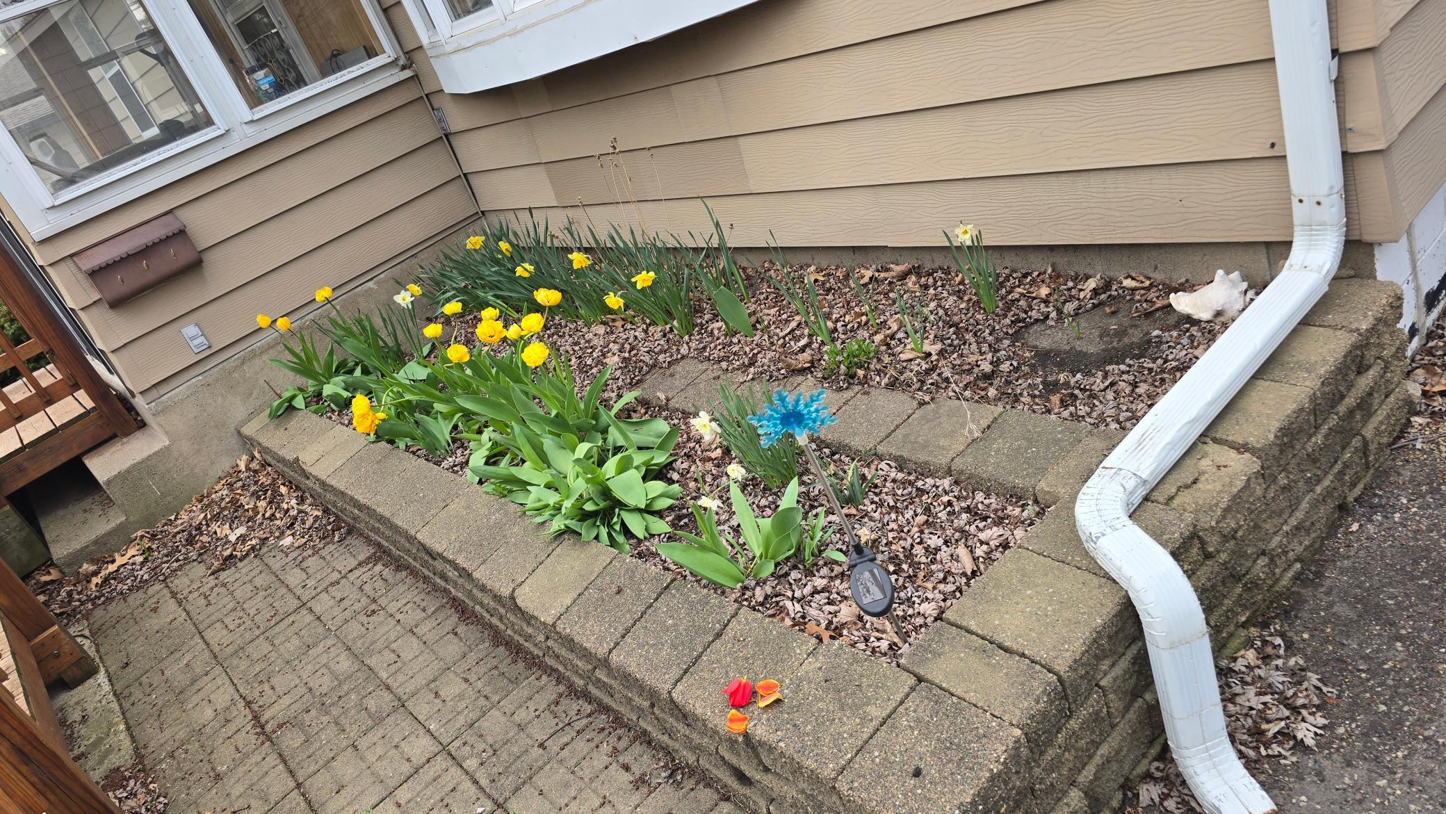 8214 32nd Place North Crystal, MN 55427 - Photo 34 of 45