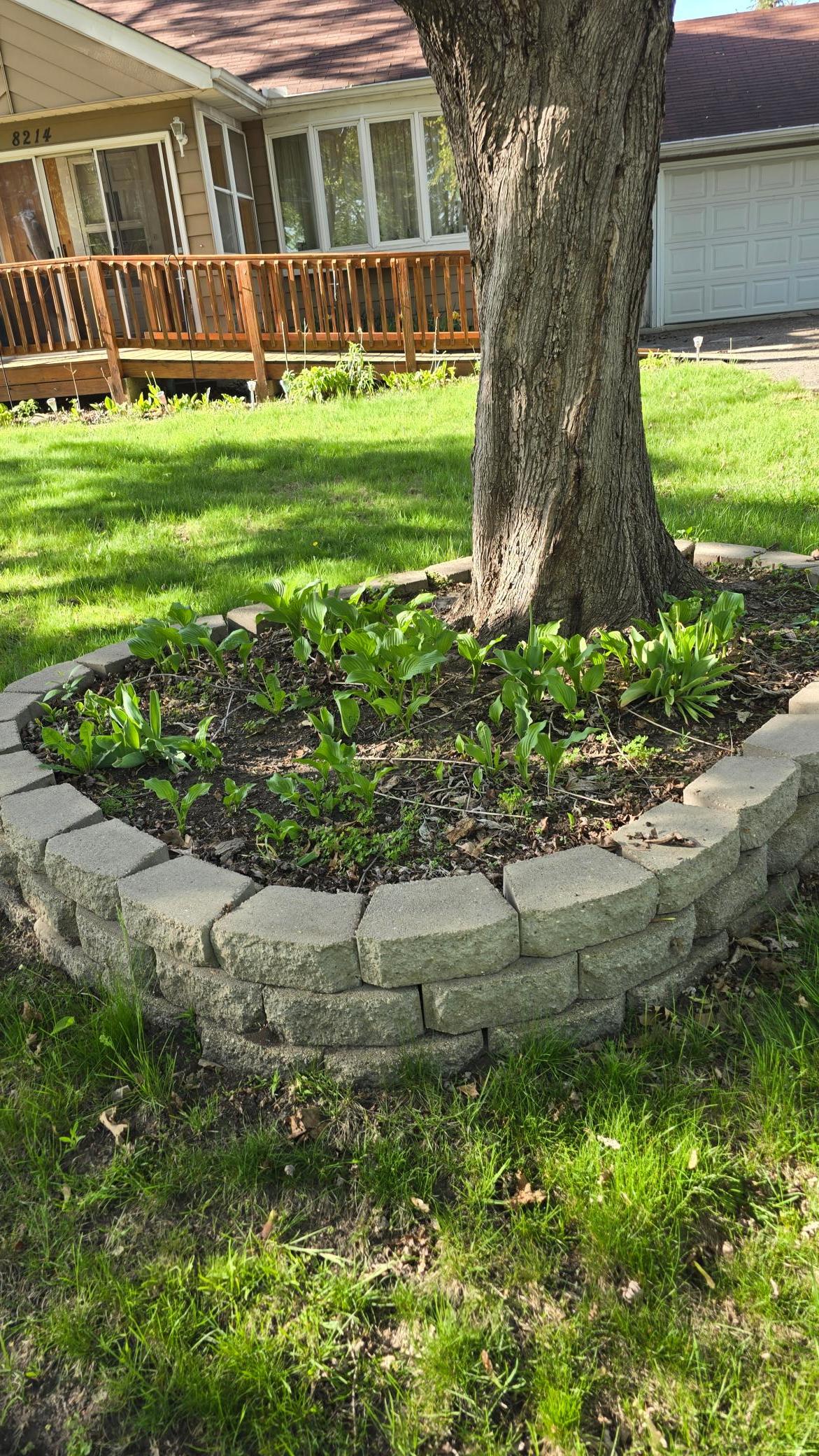 8214 32nd Place North Crystal, MN 55427 - Photo 36 of 45