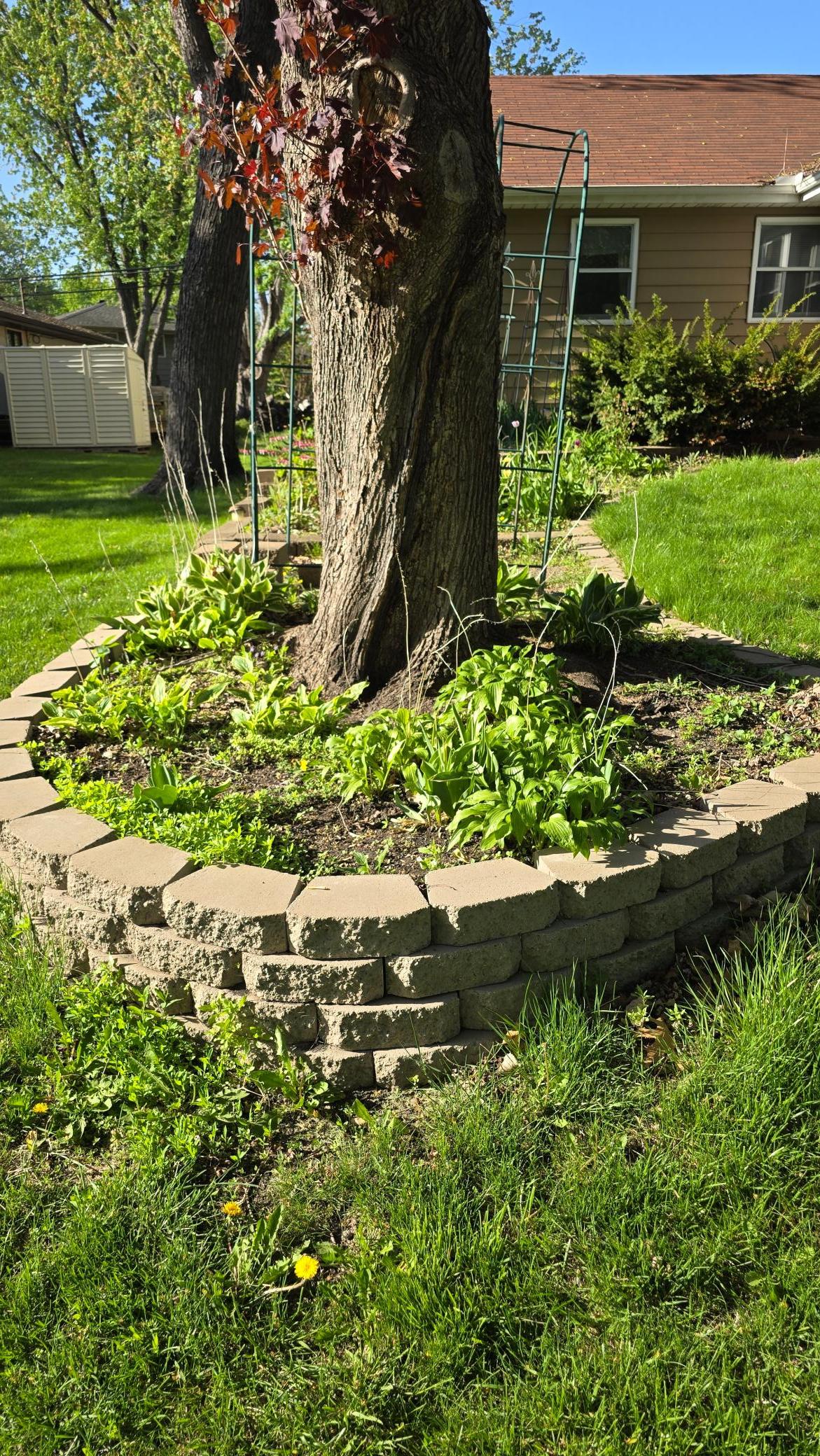 8214 32nd Place North Crystal, MN 55427 - Photo 37 of 45