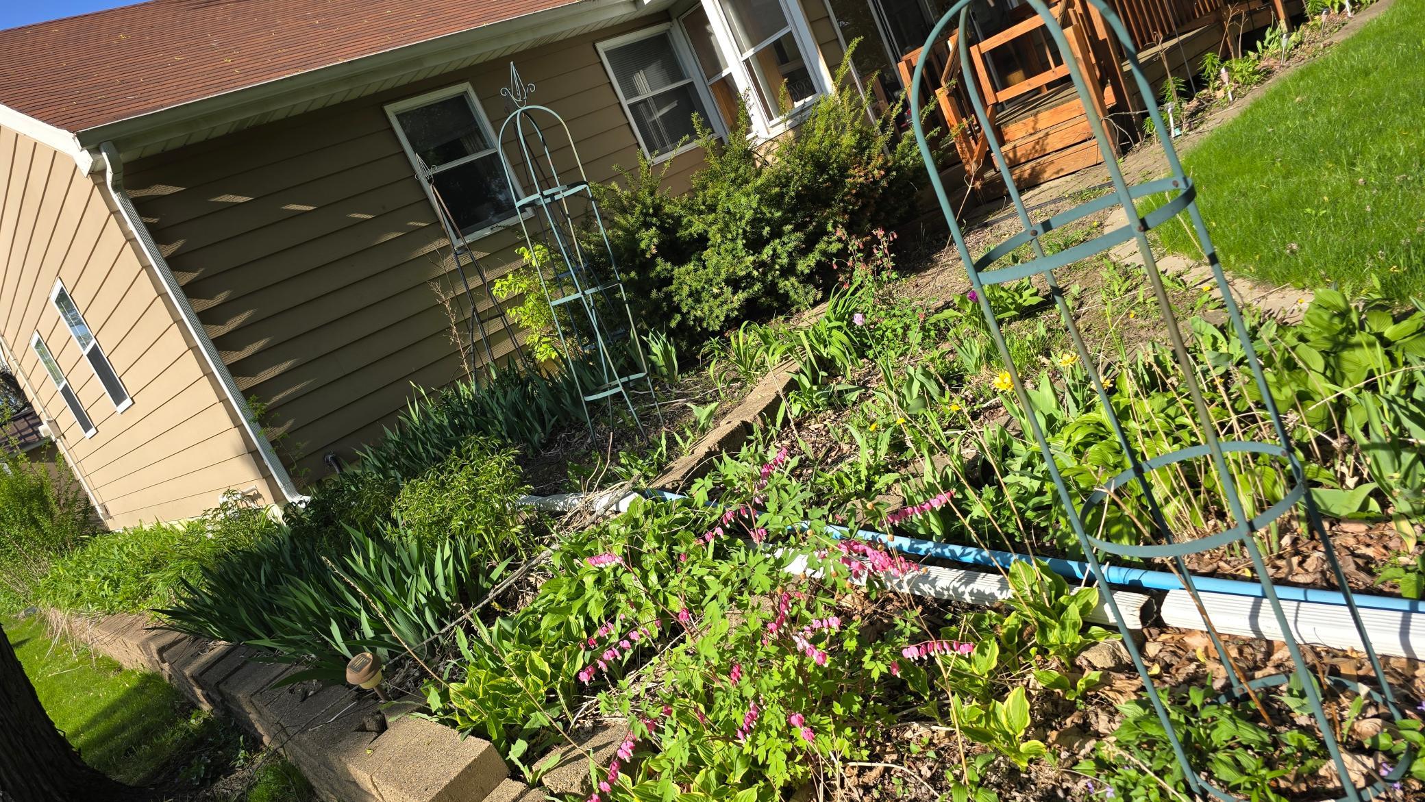 8214 32nd Place North Crystal, MN 55427 - Photo 38 of 45