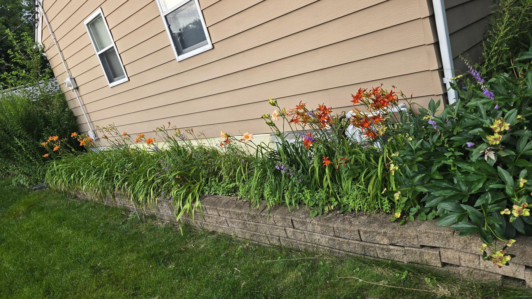 8214 32nd Place North Crystal, MN 55427 - Photo 40 of 45