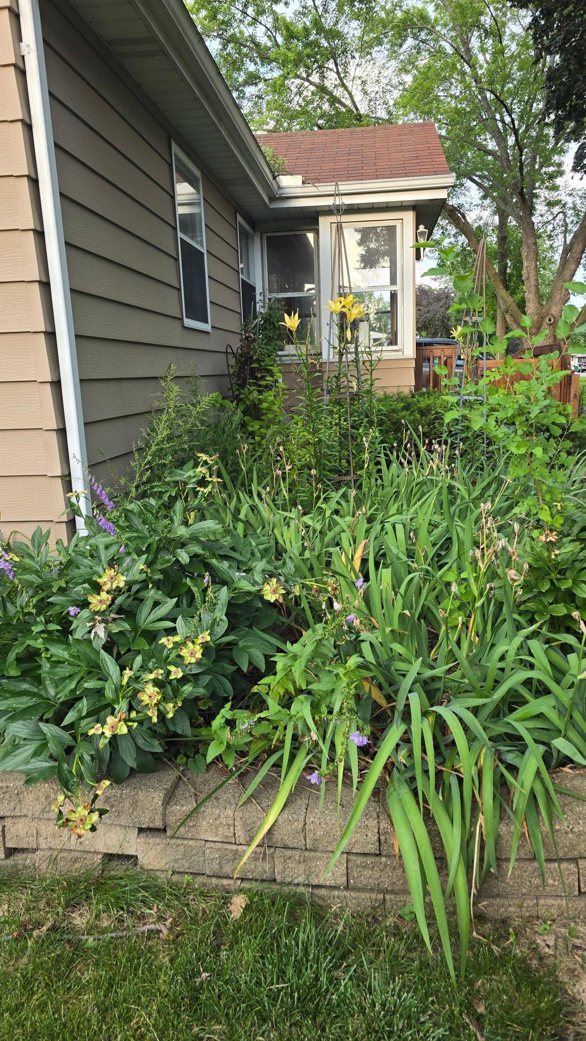 8214 32nd Place North Crystal, MN 55427 - Photo 41 of 45