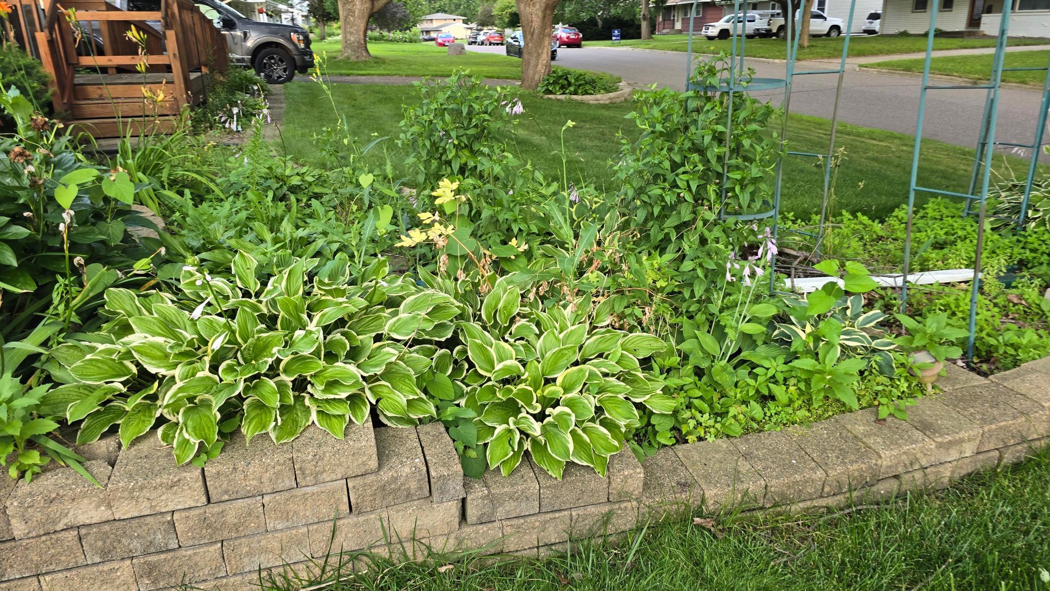 8214 32nd Place North Crystal, MN 55427 - Photo 42 of 45