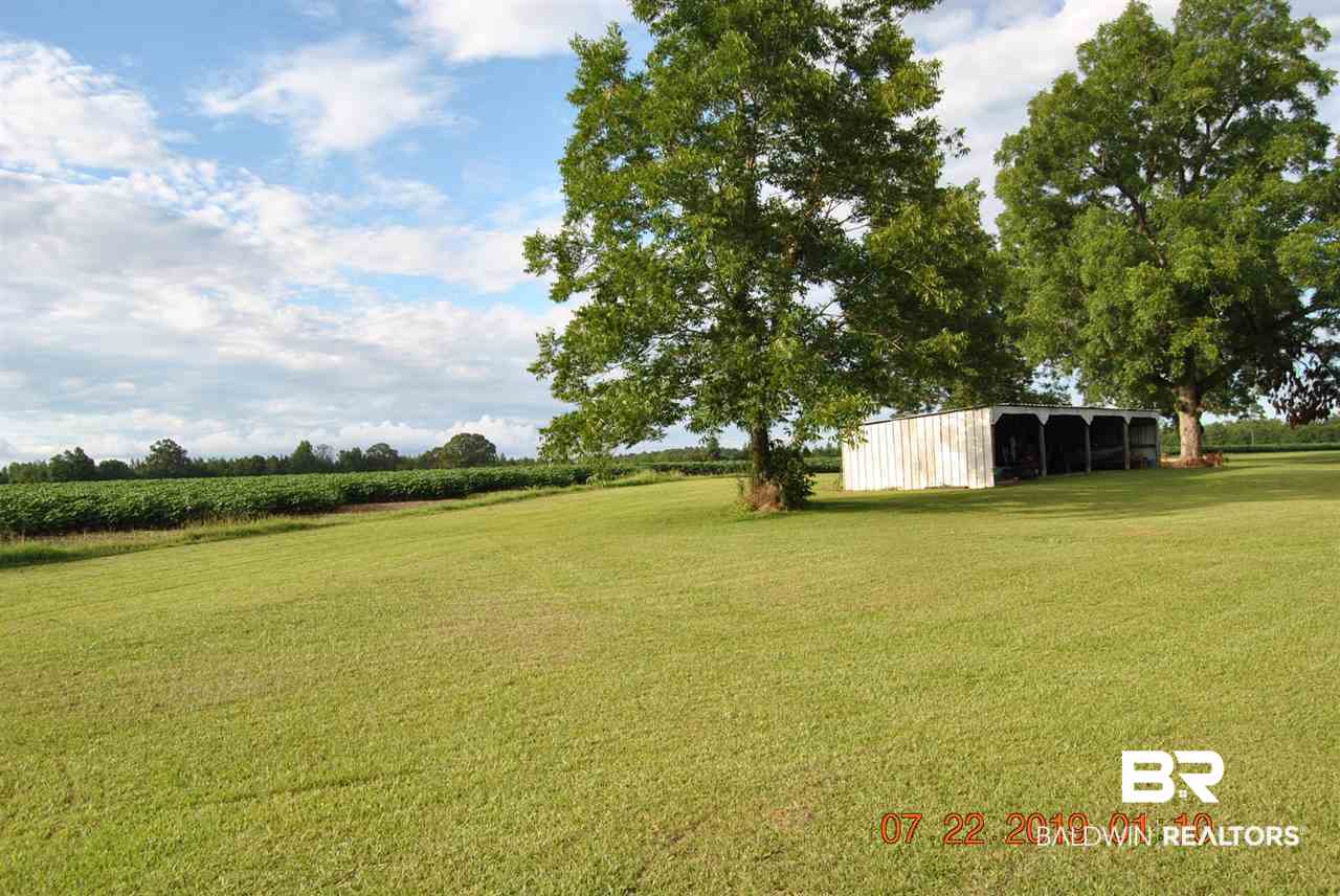 384 Goulsby Farm Road Brewton, AL 36426 - Photo 3 of 5 Small 3 sided barn, and view of acreage