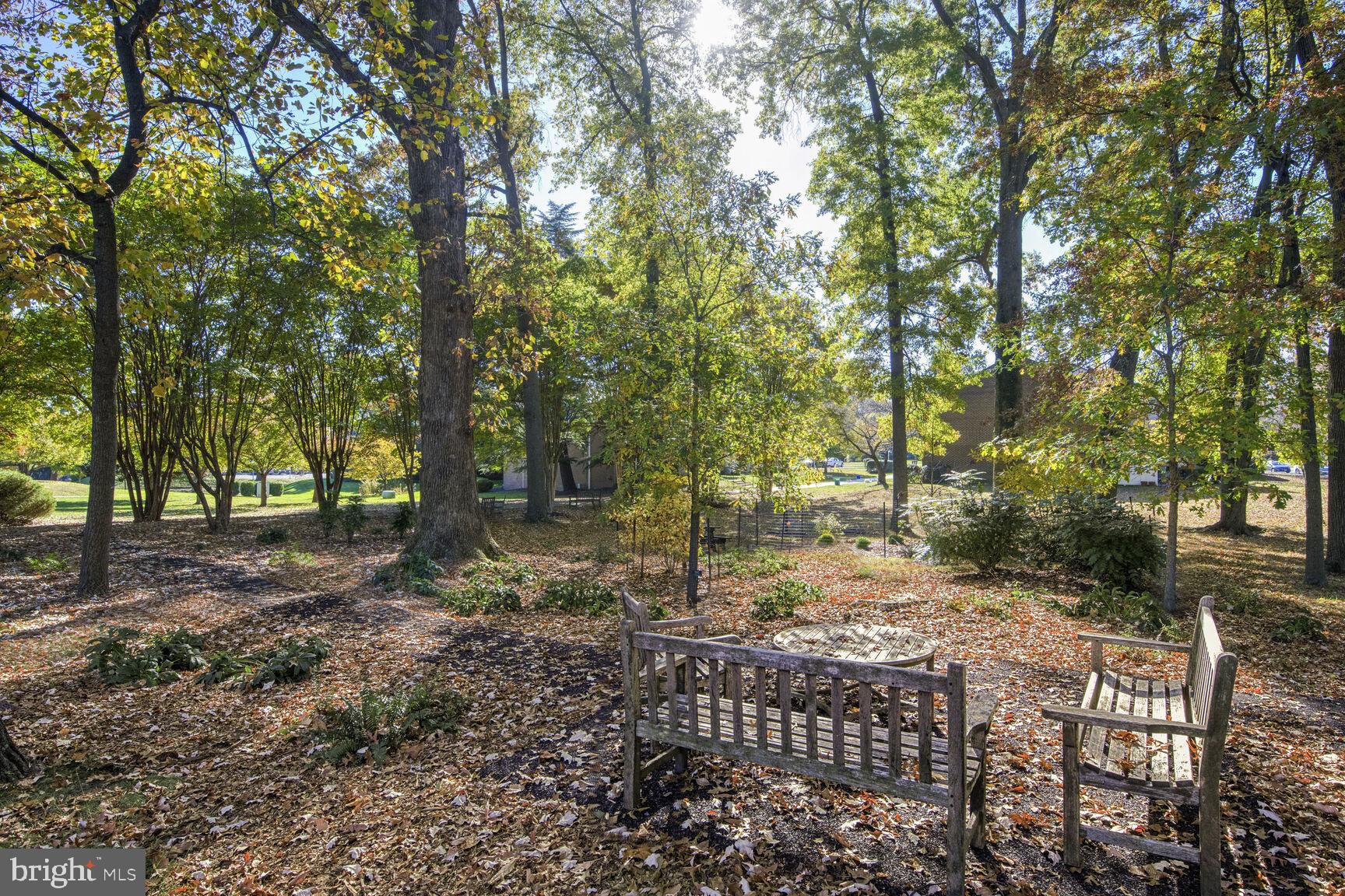 14603 Edelmar Drive, Unit 132A Silver Spring, MD 20906 - Photo 41 of 52 a view of a yard with plants and trees
