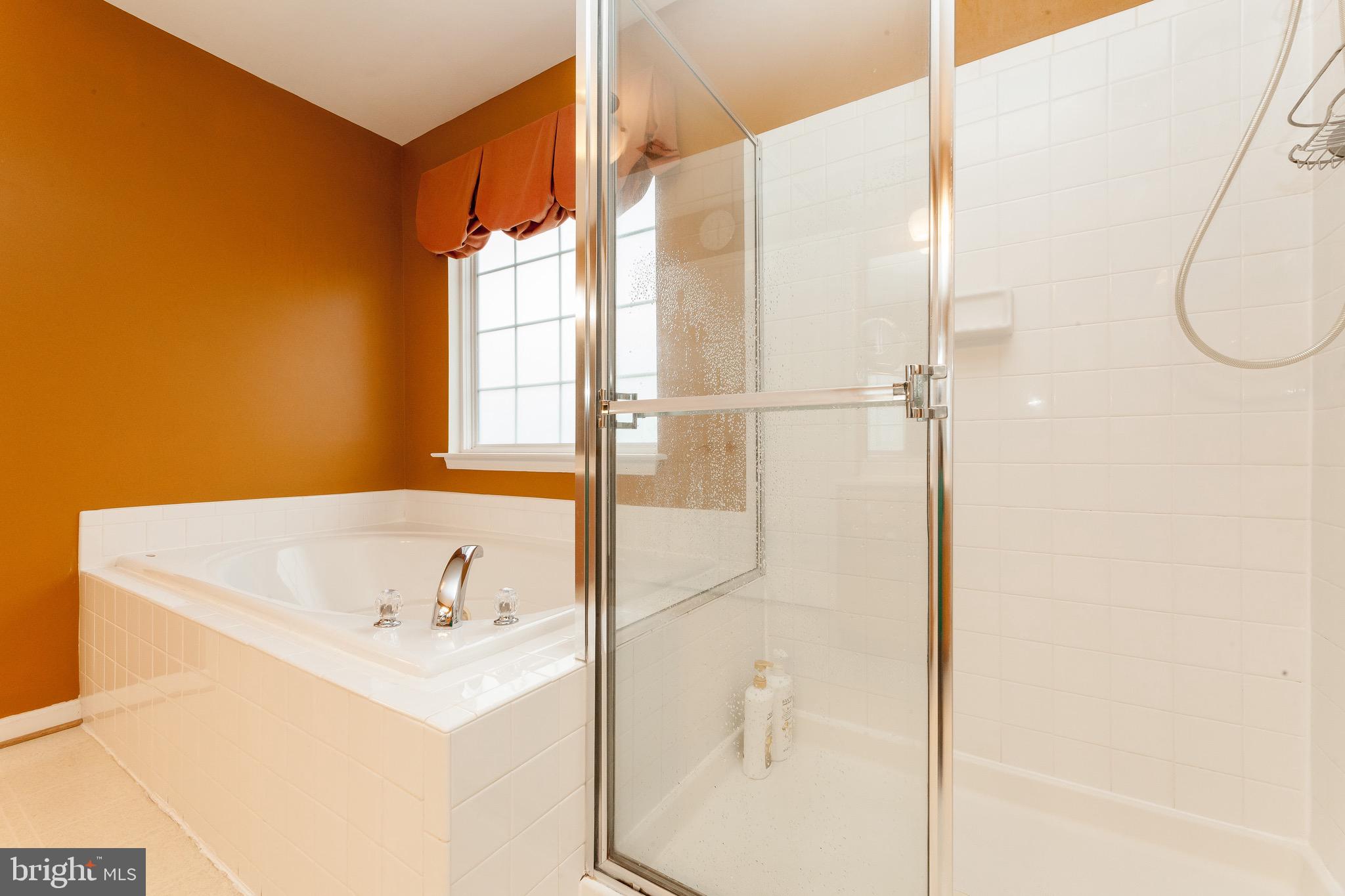 11104 Park Ridge Road Fredericksburg, VA 22408 - Photo 38 of 76 Separate tub and shower