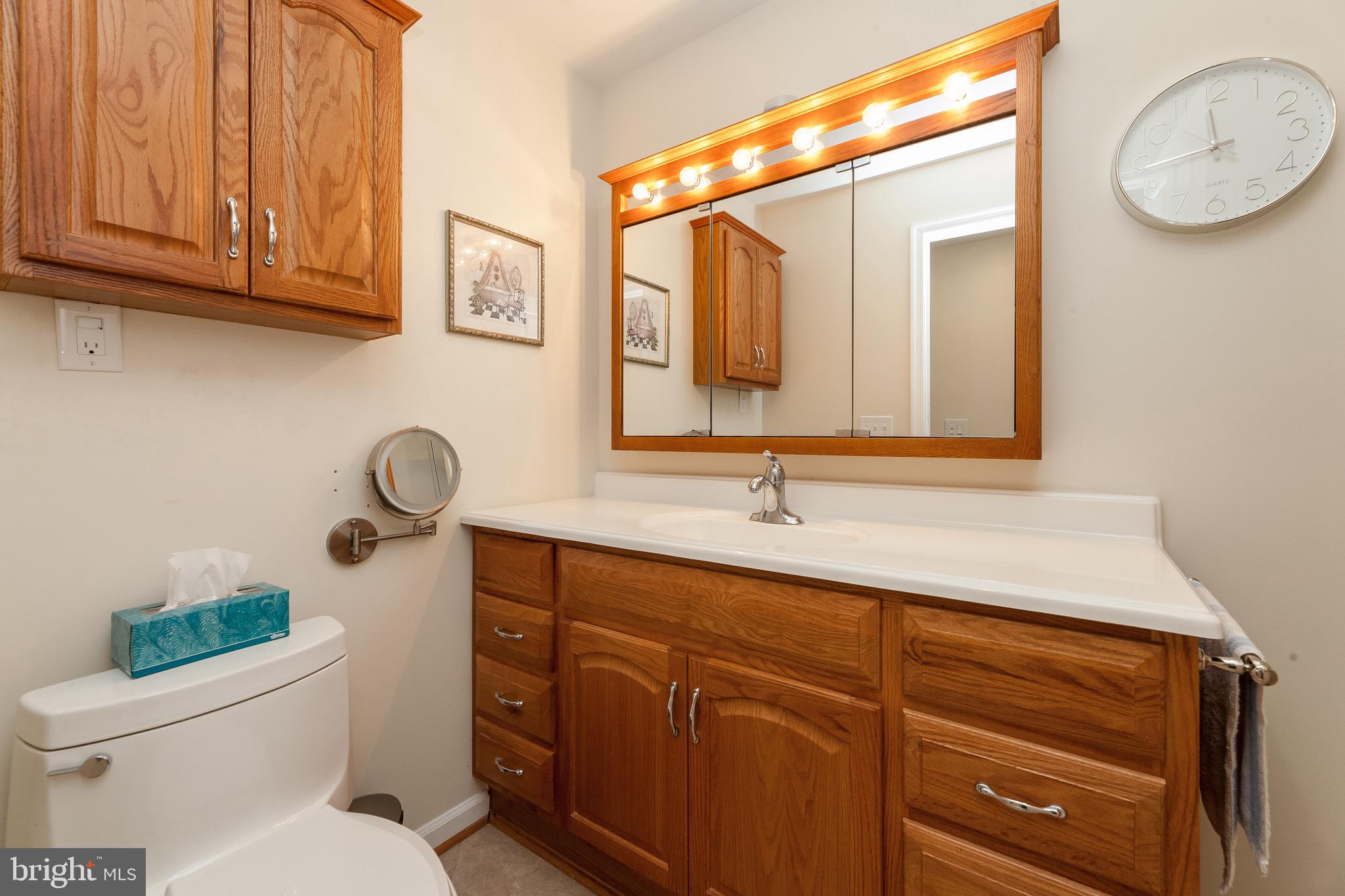 11104 Park Ridge Road Fredericksburg, VA 22408 - Photo 57 of 76 Fulll Bath Lower Level