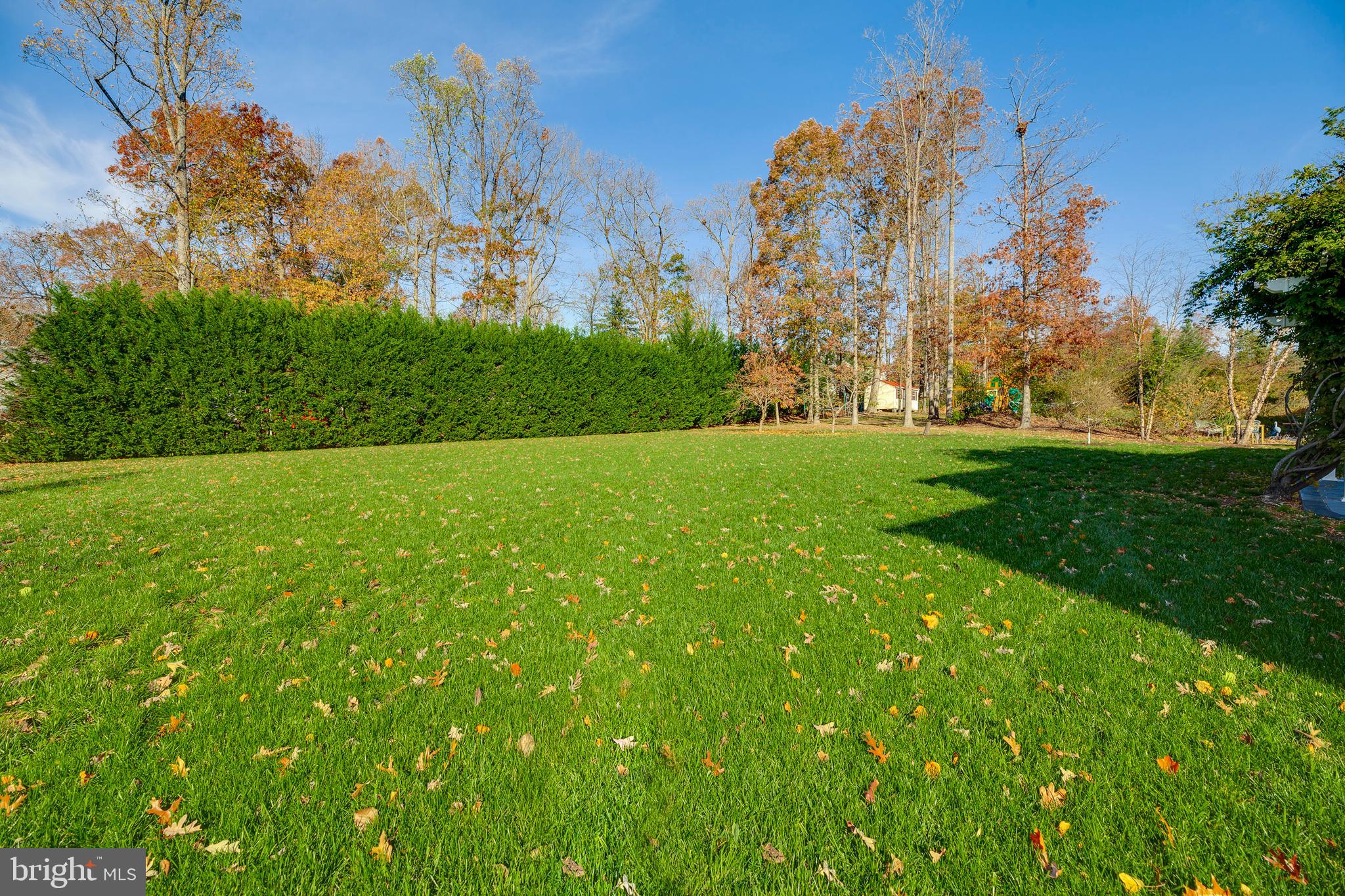 11104 Park Ridge Road Fredericksburg, VA 22408 - Photo 7 of 76 Backyard