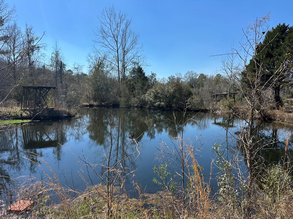 Undisclosed Address Ariton, AL 36311 - Photo 1 of 17
