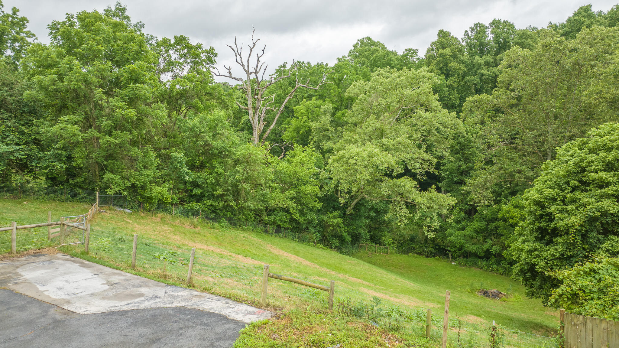 1288 Powder Branch Road Johnson City, TN 37601 - Photo 28 of 34 DJI_0512-HDR