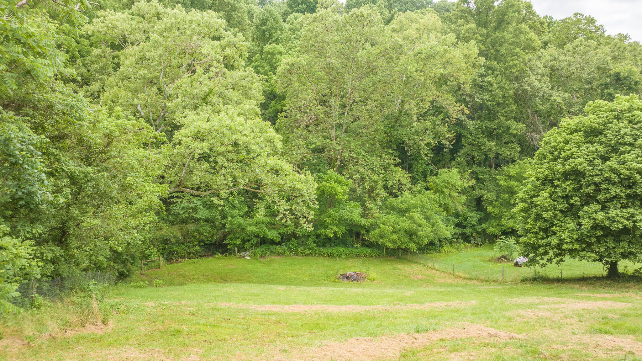 1288 Powder Branch Road Johnson City, TN 37601 - Photo 34 of 34 DJI_0562-HDR