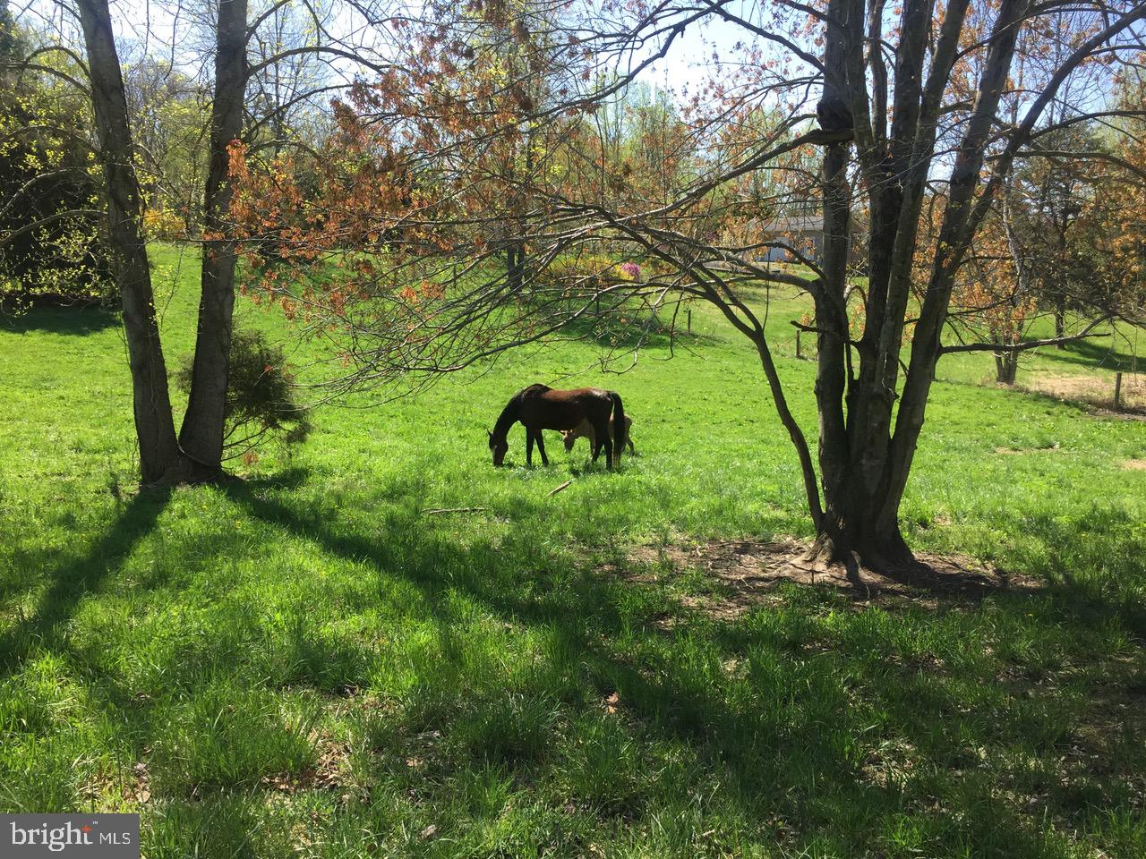 3085 Indian Run Road Amissville, VA 20106 - Photo 70 of 132