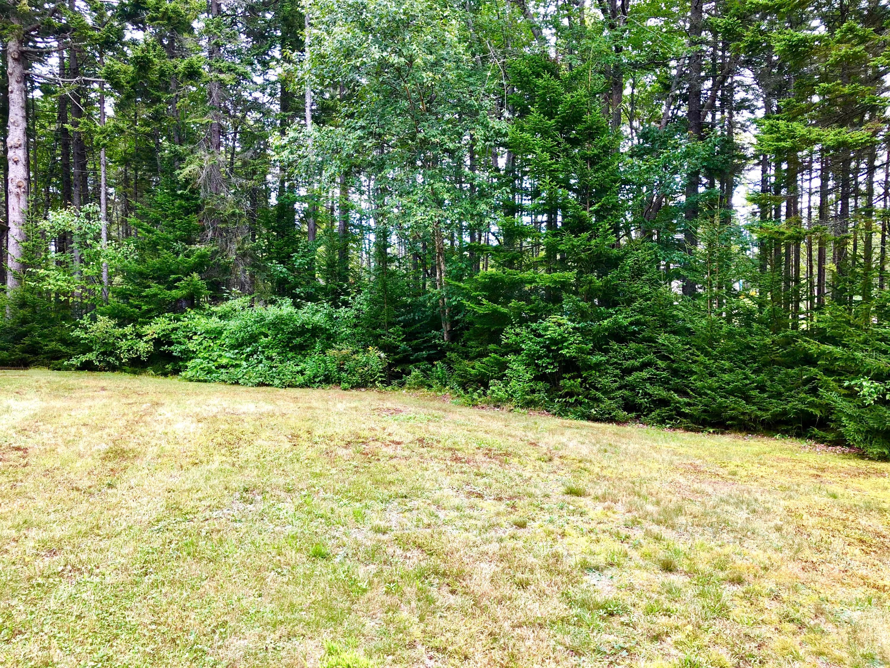 4 Lyford Road Bernard, ME 04612 - Photo 42 of 49 Land