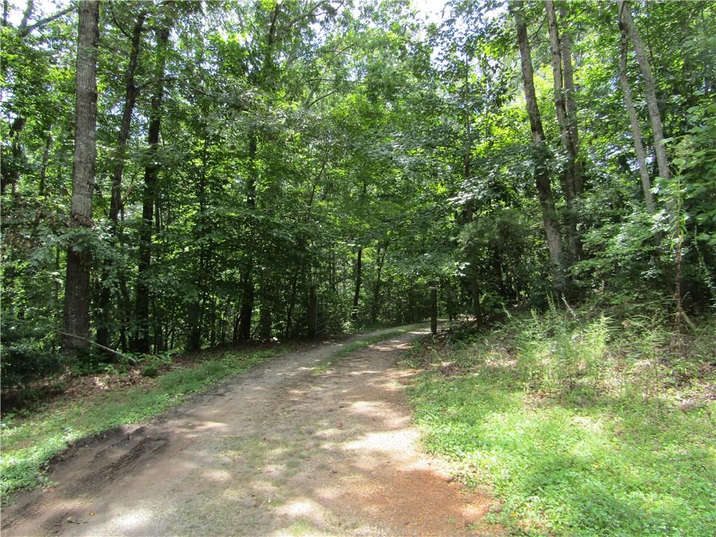 92 Norma Road Dawsonville, GA 30534 - Photo 1 of 1 Gallery Image 1