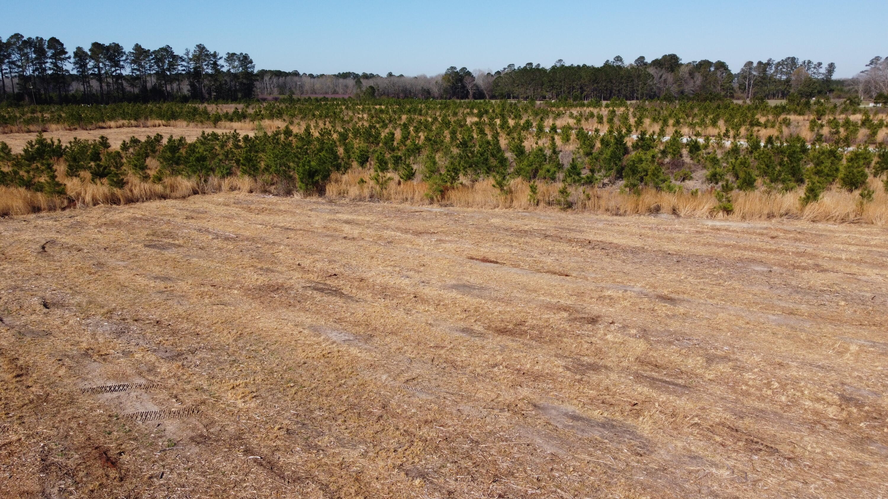 8 Highway 6 Cross, SC 29436 - Photo 5 of 9 DJI_0170