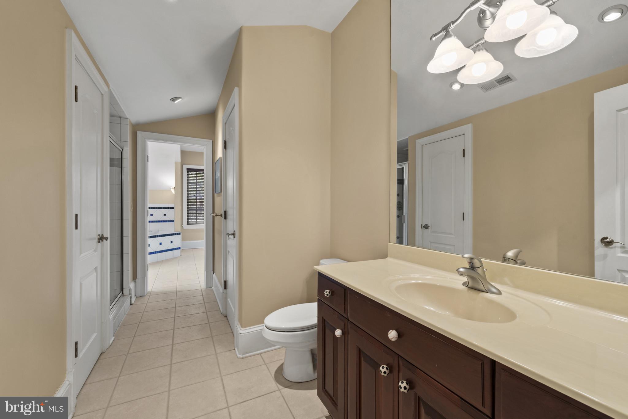 7810 Ruxwood Road Ruxton, MD 21204 - Photo 68 of 94 Ensuite bath with access to whirlpool tub room.