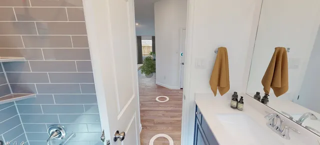 a bathroom with a sink and a mirror