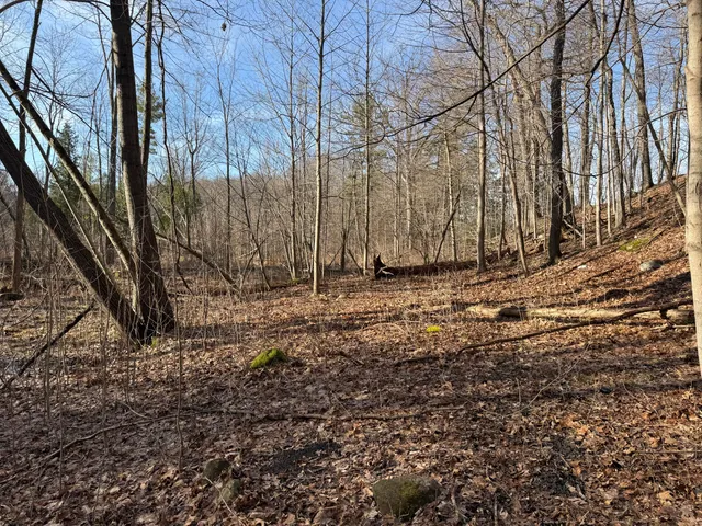 $999,000 | 5950 South Lake George Road, Dryden, MI 48428