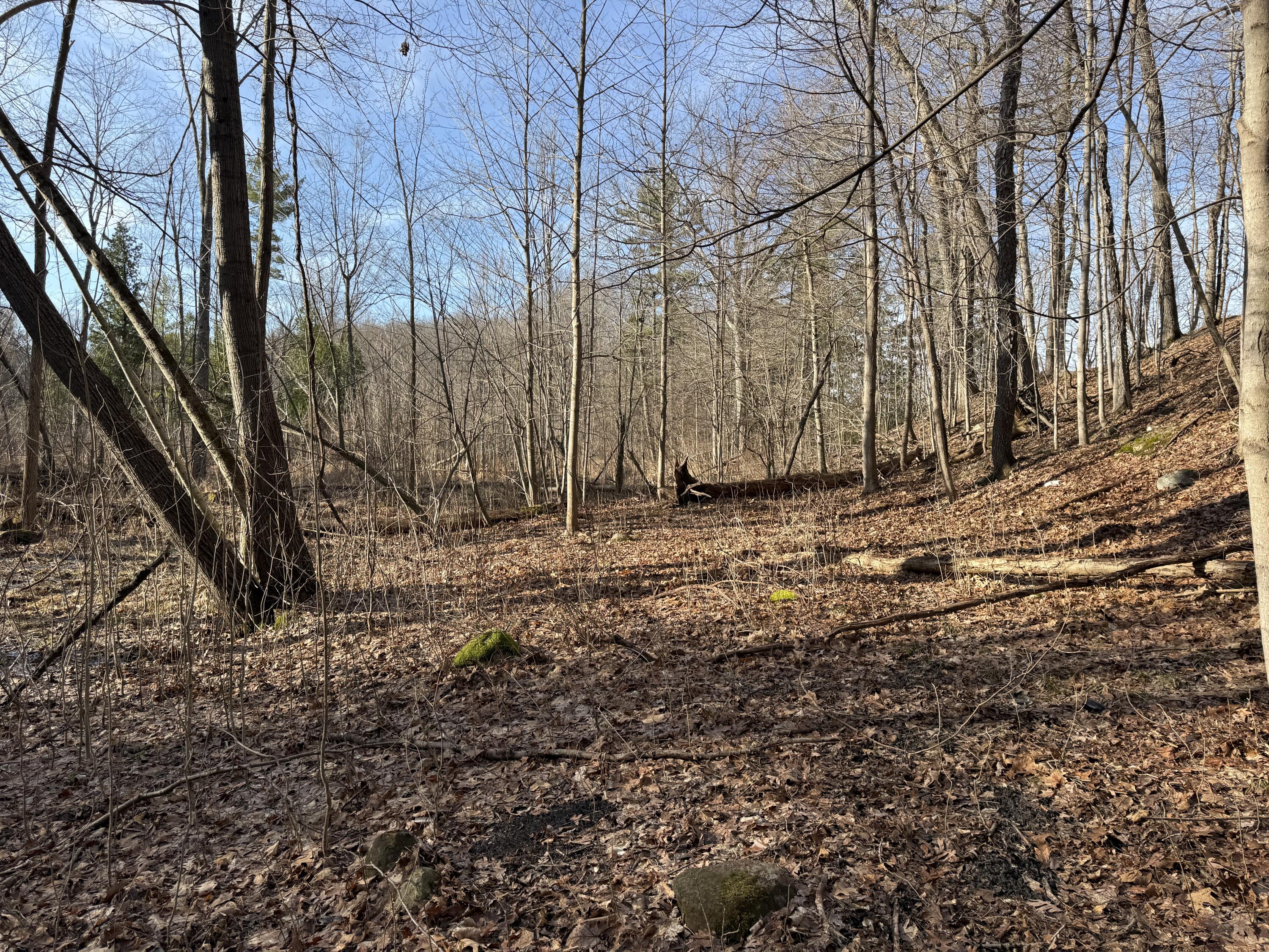 5950 South Lake George Road Dryden, MI 48428 - Photo 11 of 16 IMG_0784 (1)