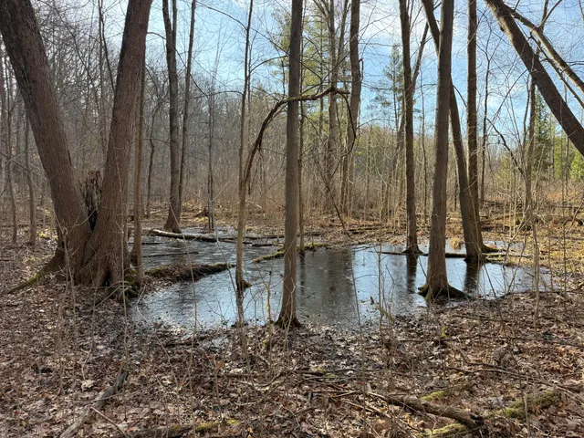 $999,000 | 5950 South Lake George Road, Dryden, MI 48428