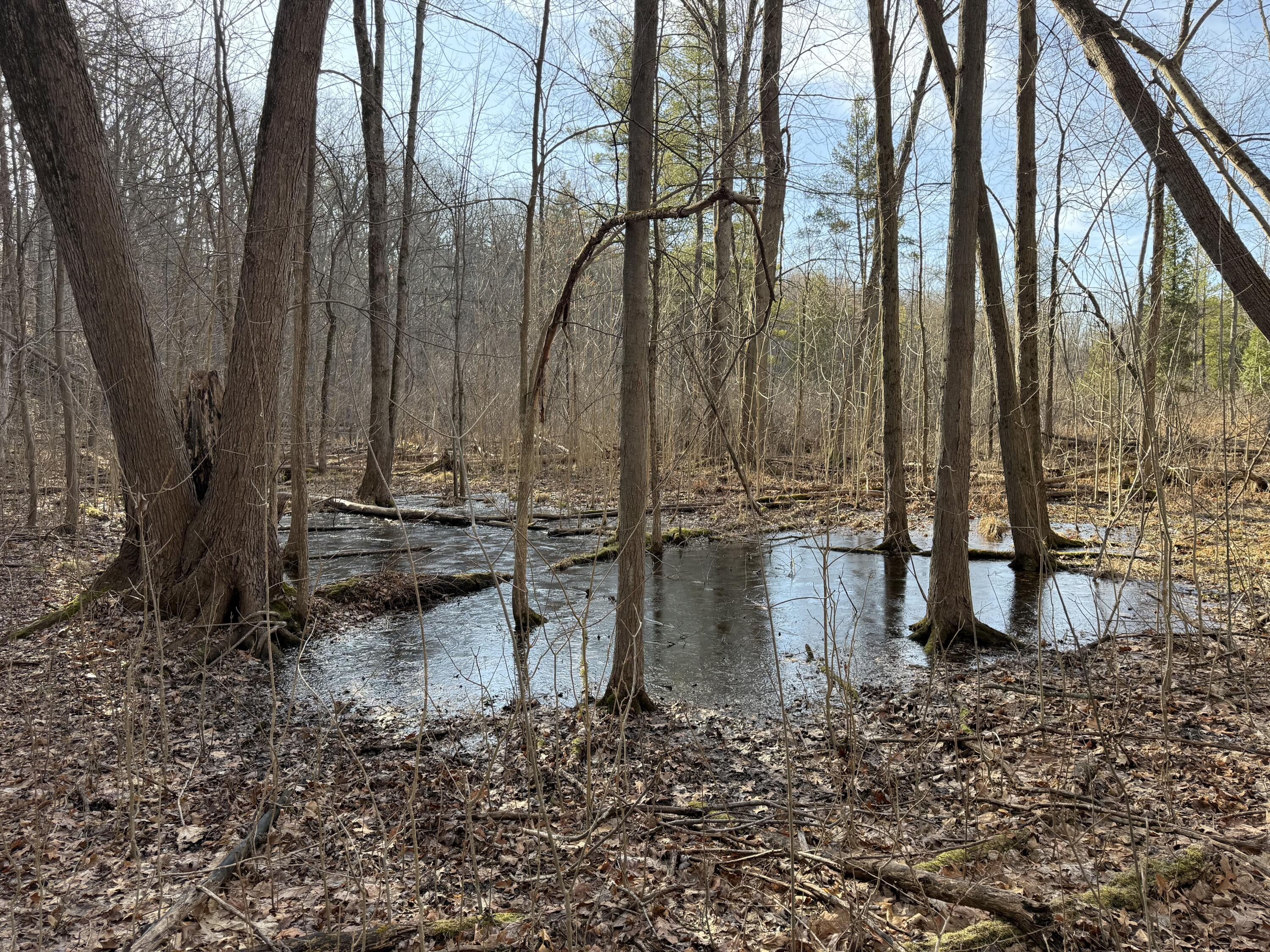 5950 South Lake George Road Dryden, MI 48428 - Photo 12 of 16 IMG_0785 (1)