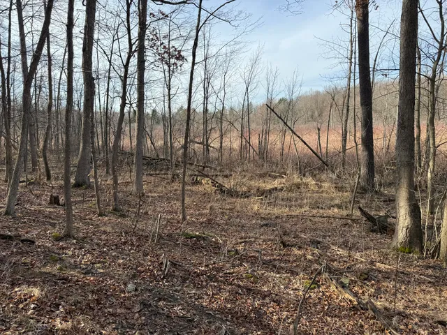 $999,000 | 5950 South Lake George Road, Dryden, MI 48428