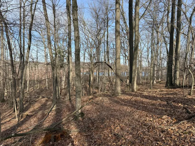 $999,000 | 5950 South Lake George Road, Dryden, MI 48428